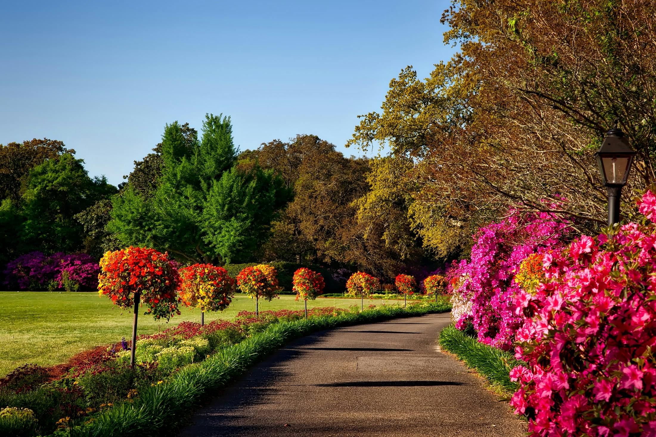 Garden Design