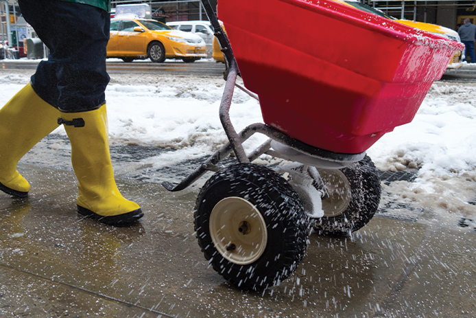 Salting & Ice Control